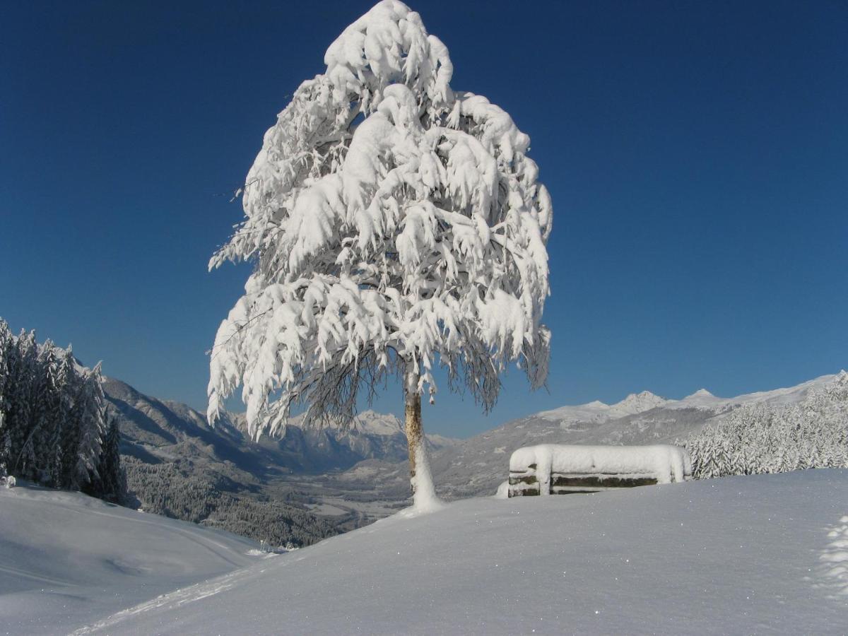 Erlebnishof Tschabitscher Villa Weissensee Buitenkant foto