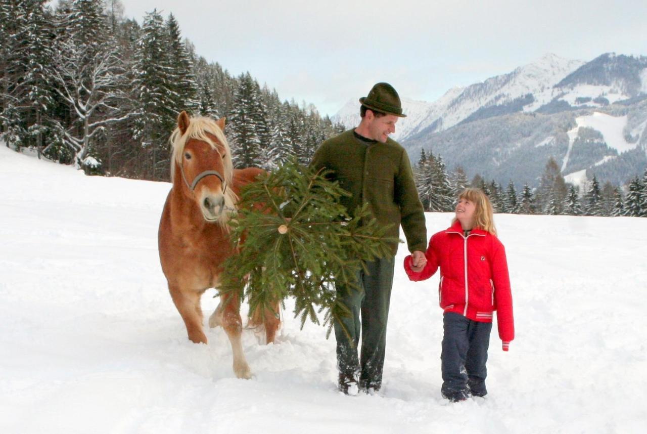 Erlebnishof Tschabitscher Villa Weissensee Buitenkant foto