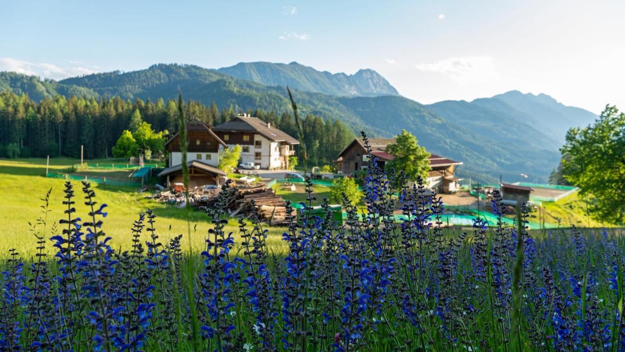 Erlebnishof Tschabitscher Villa Weissensee Buitenkant foto