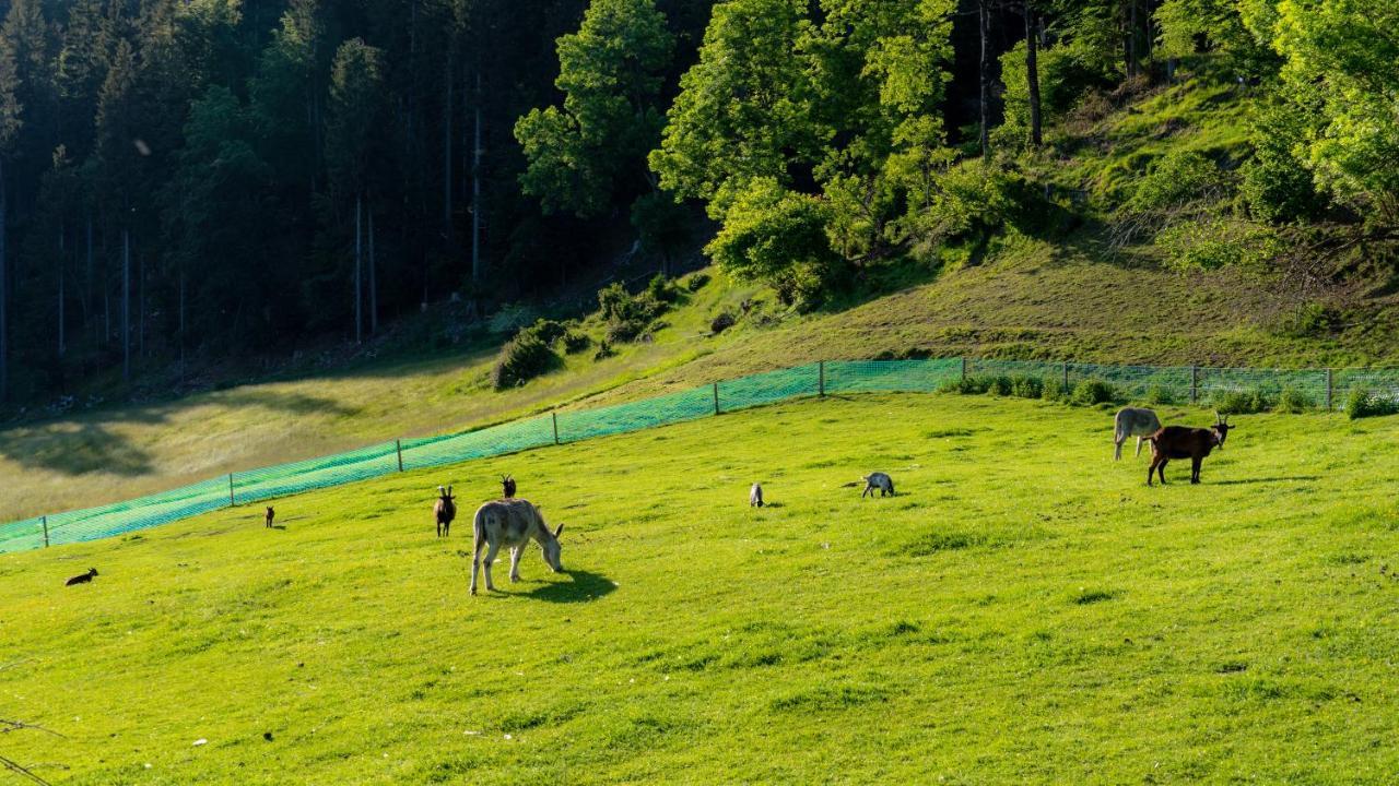 Erlebnishof Tschabitscher Villa Weissensee Buitenkant foto