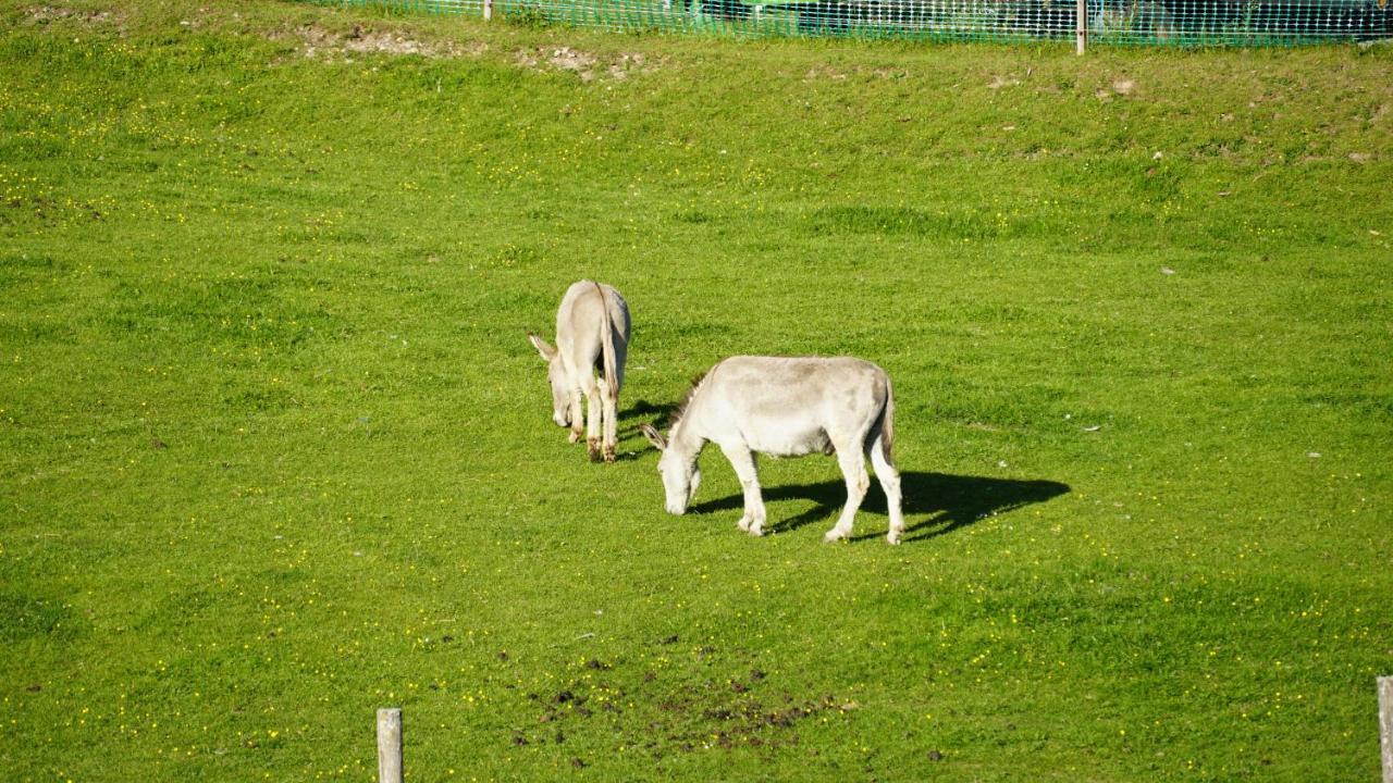 Erlebnishof Tschabitscher Villa Weissensee Buitenkant foto